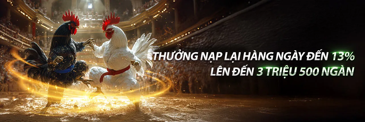 Đá gà trực tuyến kịch tính tại zt9398 với các khuyến mãi độc quyền 2026